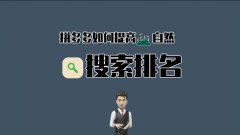 天游TY8检测中心拼多多代运营解析拼多多自然搜索排名规则！